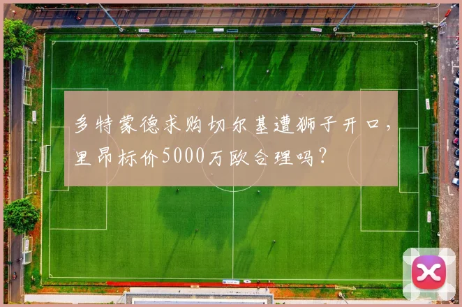 多特蒙德求购切尔基遭狮子开口,里昂标价5000万欧合理吗?
